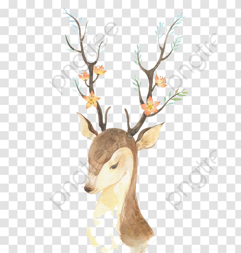 Unicorn Drawing - Head - Tail Fawn Transparent PNG
