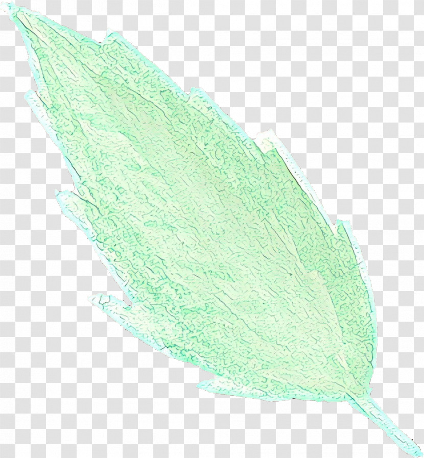 Feather Transparent PNG