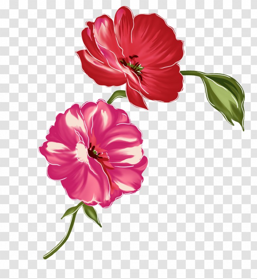 Flower Red - Mallow Family - Watercolor Flowers Transparent PNG