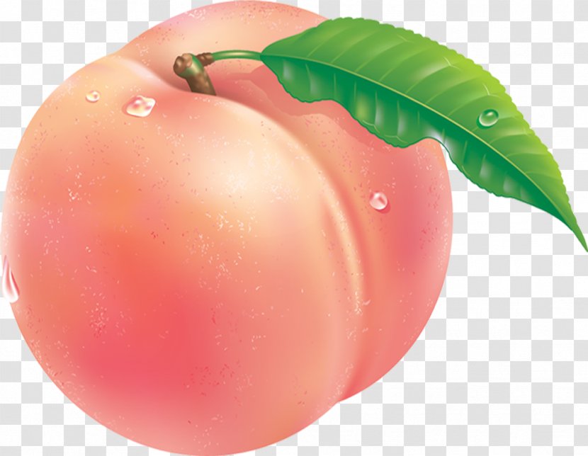 Tomato Peach Auglis Fruit - Local Food Transparent PNG