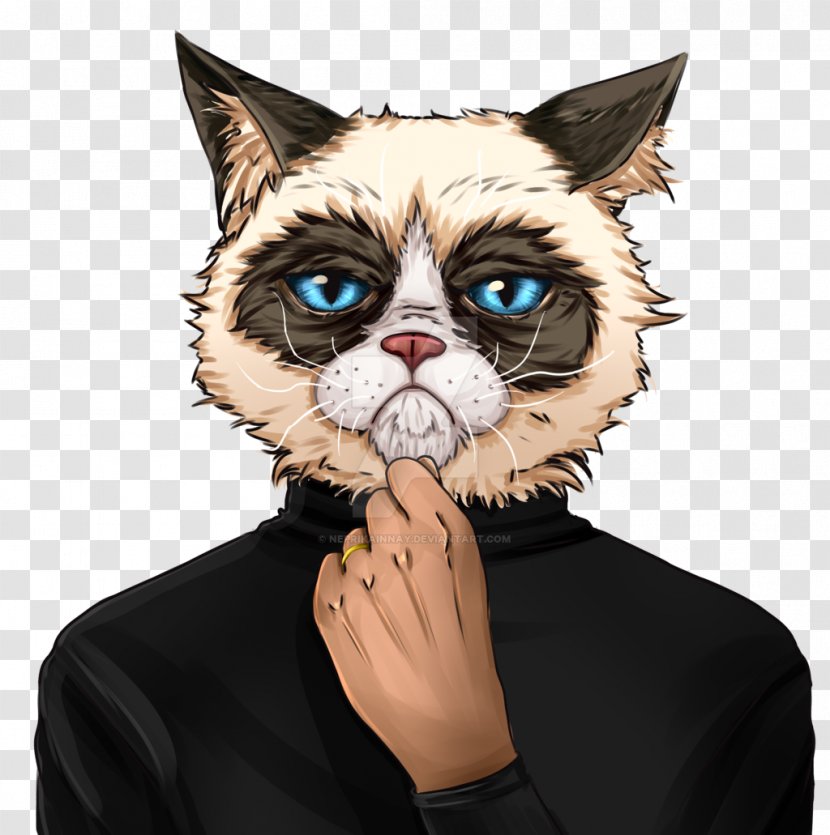 Grumpy Cat Kitten Whiskers Mouse - Face - Steve Jobs Transparent PNG