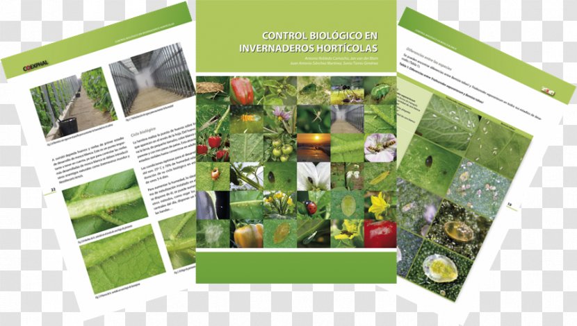 Biological Pest Control Biology Brand Brochure - Advertising - Biologic Transparent PNG