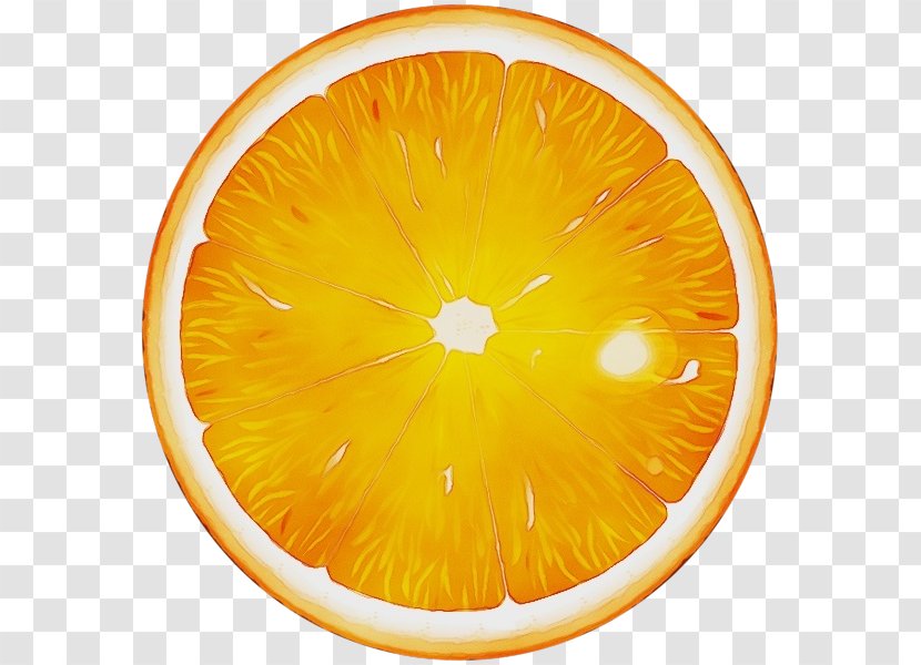 Lemon Cartoon - Valencia Orange - Lime Tangerine Transparent PNG