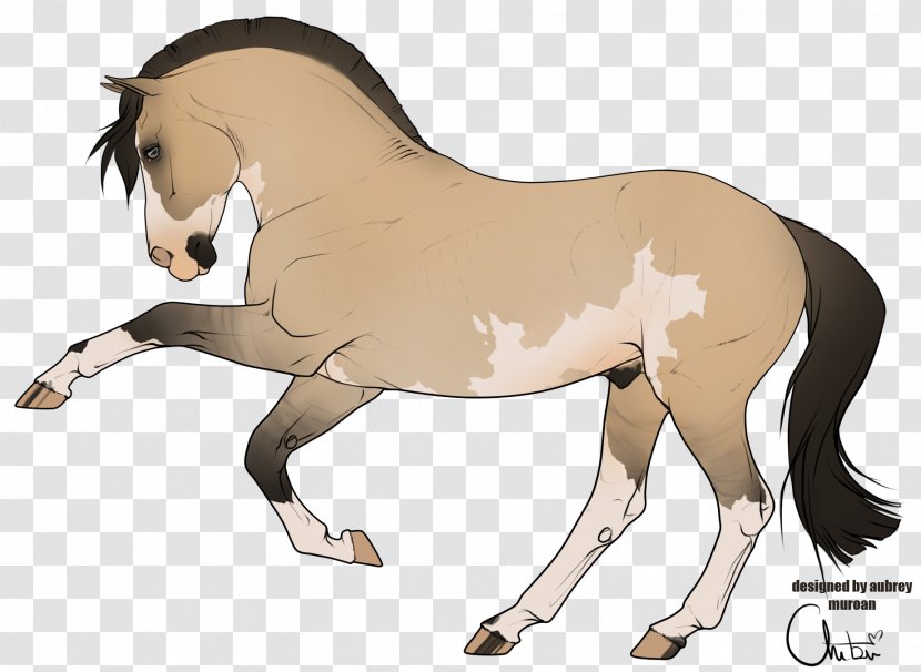 Mane Foal Stallion Mare Colt - Mustang Transparent PNG