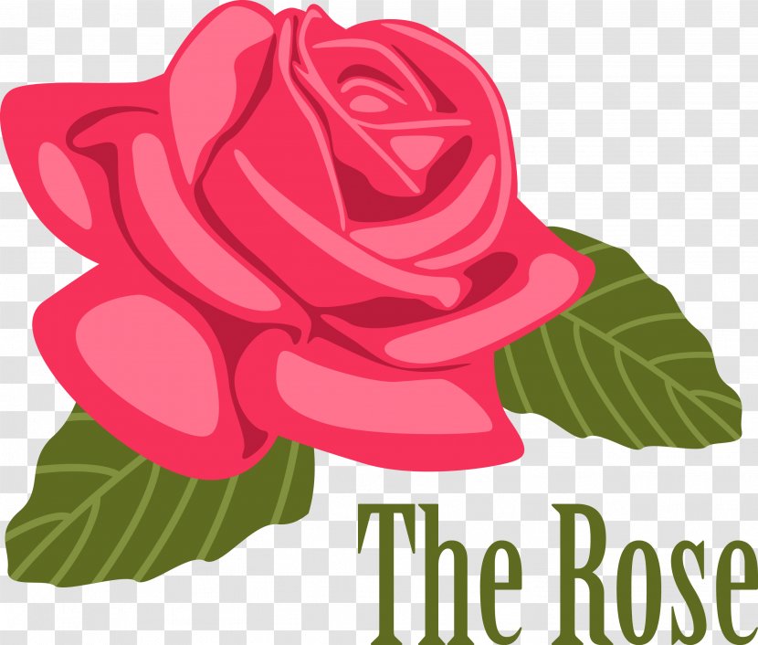 Rose Vector - Petal - Cut Flowers Transparent PNG