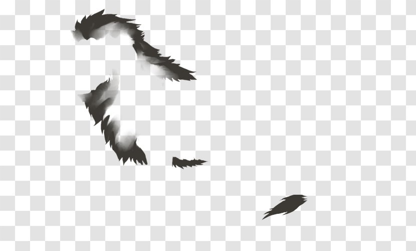 Bald Eagle Black & White - Feather - M Beak BuzzardLion Mane Transparent PNG