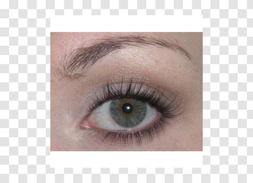 Eyebrow Eyelash Eye Shadow Cosmetics - Lip Liner Transparent PNG
