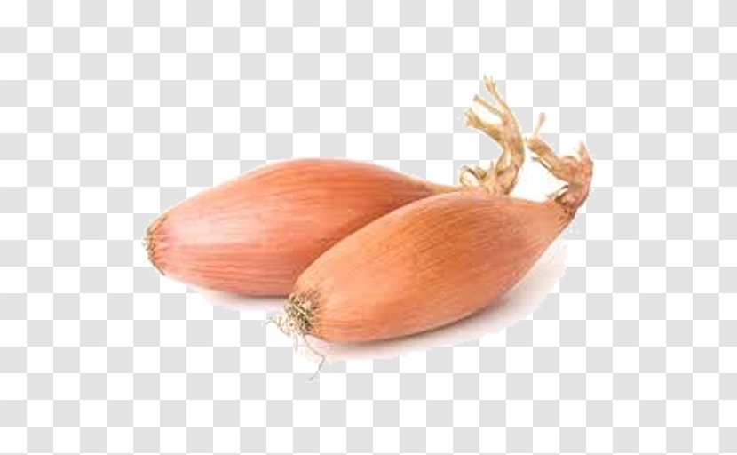 Vegetables Cartoon - Seasoning - Root Vegetable Pearl Onion Transparent PNG