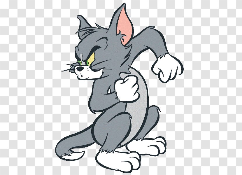 Tom Cat Jerry Mouse And Drawing - Like Mammal Transparent PNG
