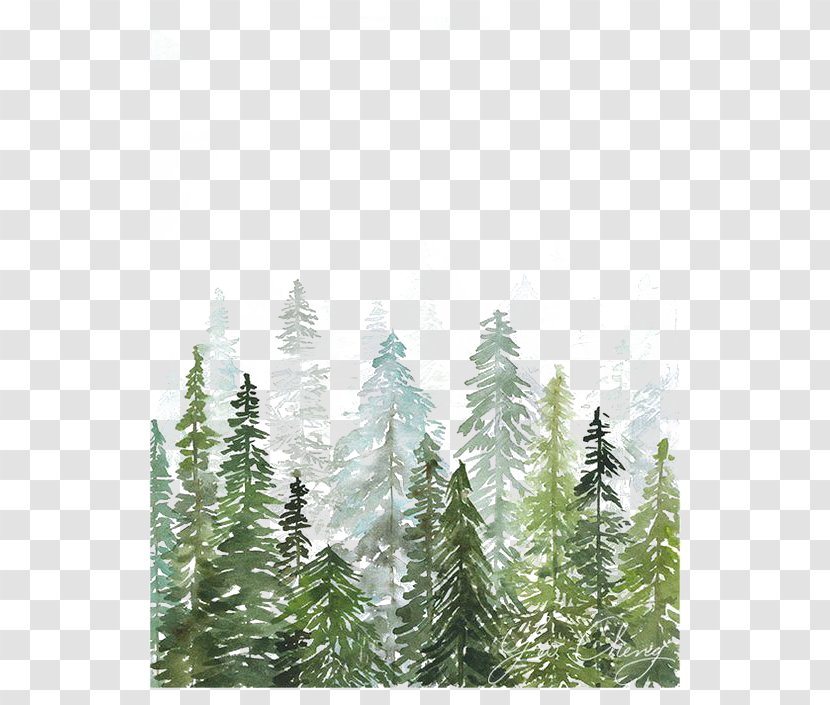 Watercolor Painting Printmaking Printing Drawing - Pine - Woods Transparent PNG