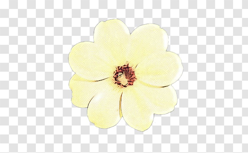 Vintage Rose - Plant - Magnolia Family Blossom Transparent PNG