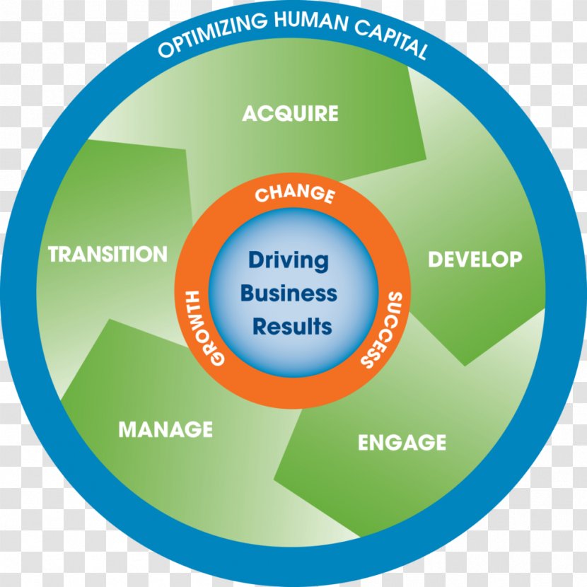 Career Concepts, Inc. Organization Service Brand - Diagram - Ball Transparent PNG