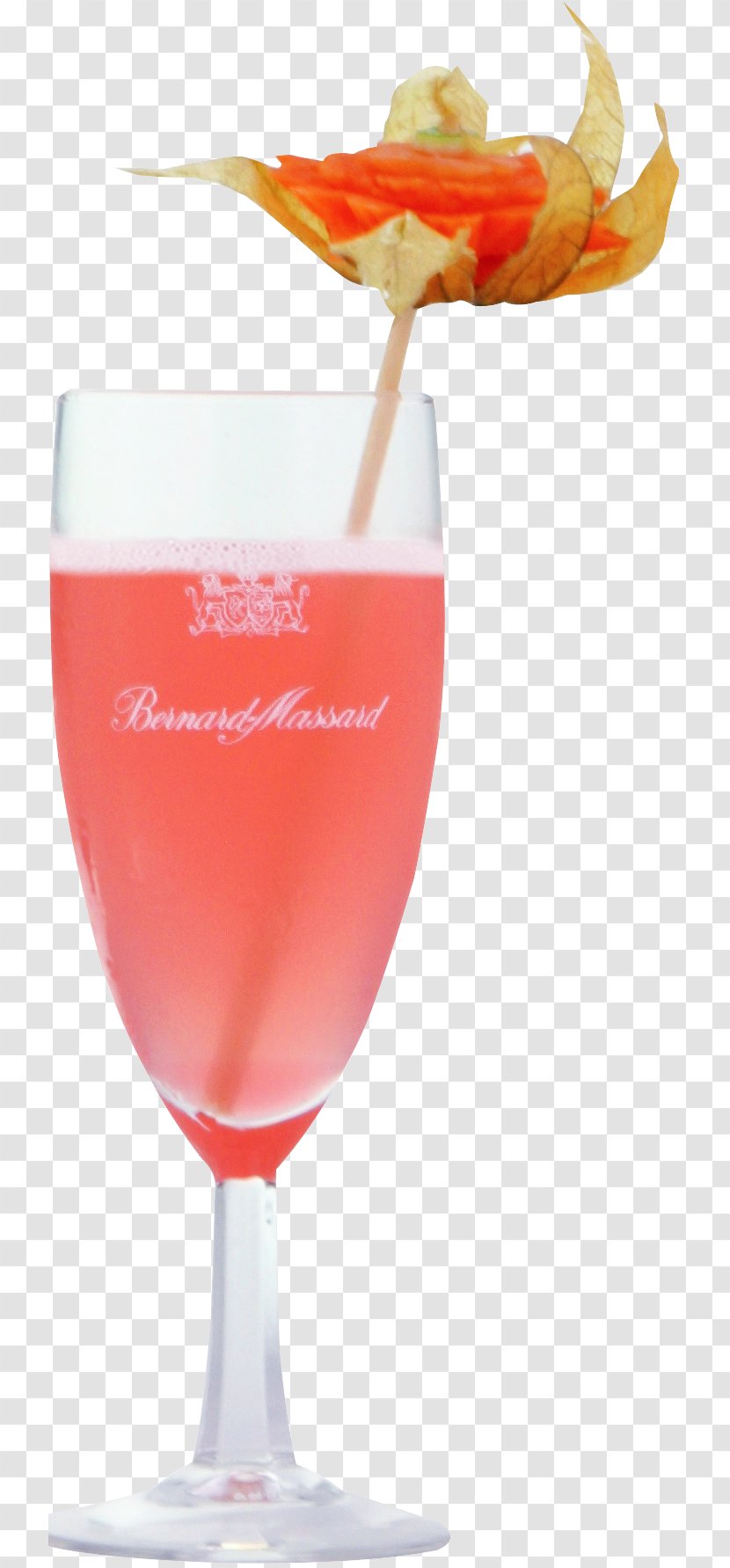 Cocktail Garnish Wine Singapore Sling Sea Breeze Champagne Transparent PNG