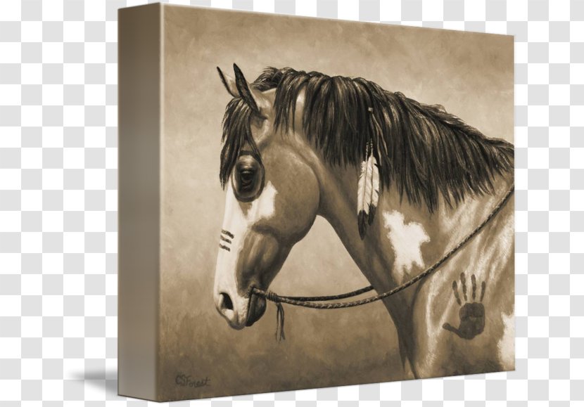 American Paint Horse Indian Wars Mustang United States - Indigenous Peoples Of The Americas - War Transparent PNG