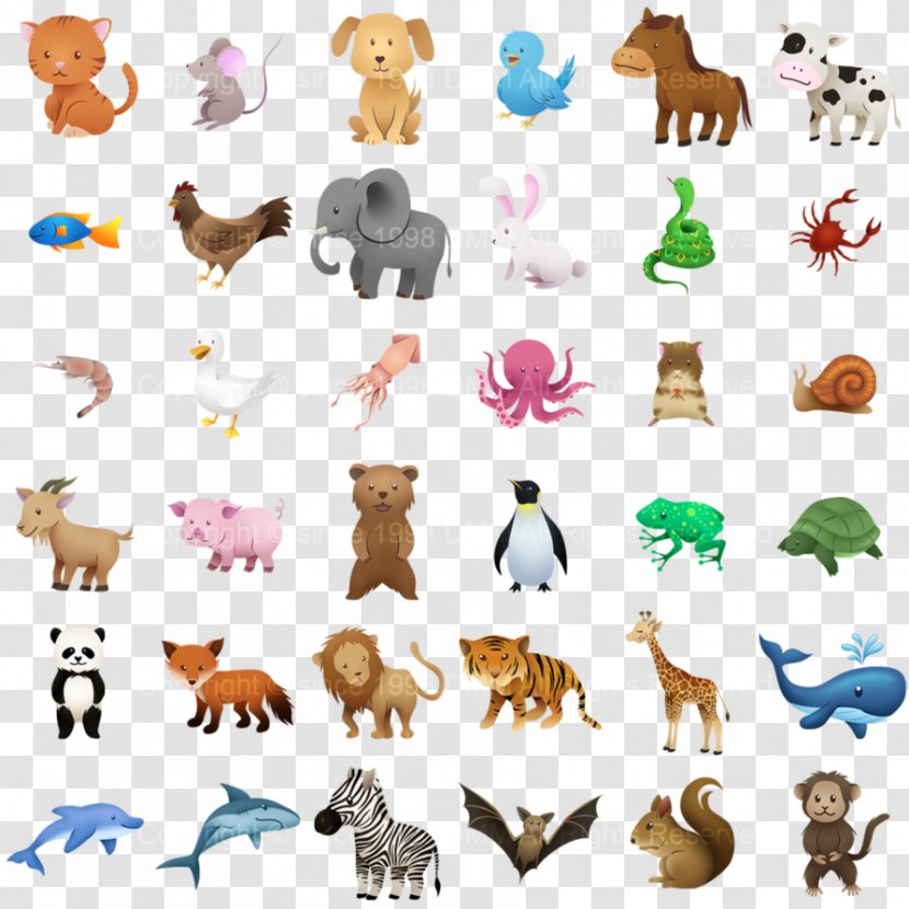 Labrador Retriever Wild Animal Flash Cards Flashcard - Organism - ANIMAl Transparent PNG