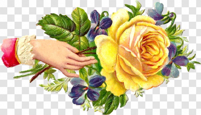Victorian Era Clip Art Floral Design Rose Flower - Flowering Plant - Qn Transparent PNG