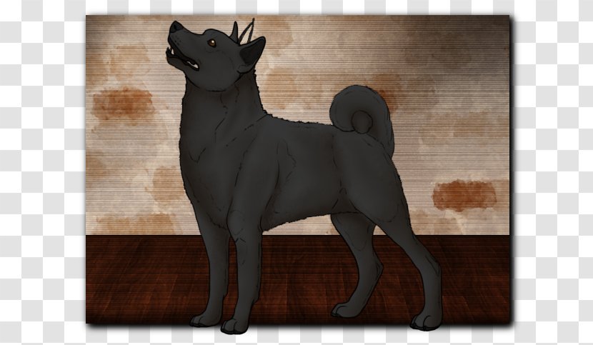 Schipperke Dog Breed Puppy Non-sporting Group (dog) - Fur - Conformation Show Transparent PNG