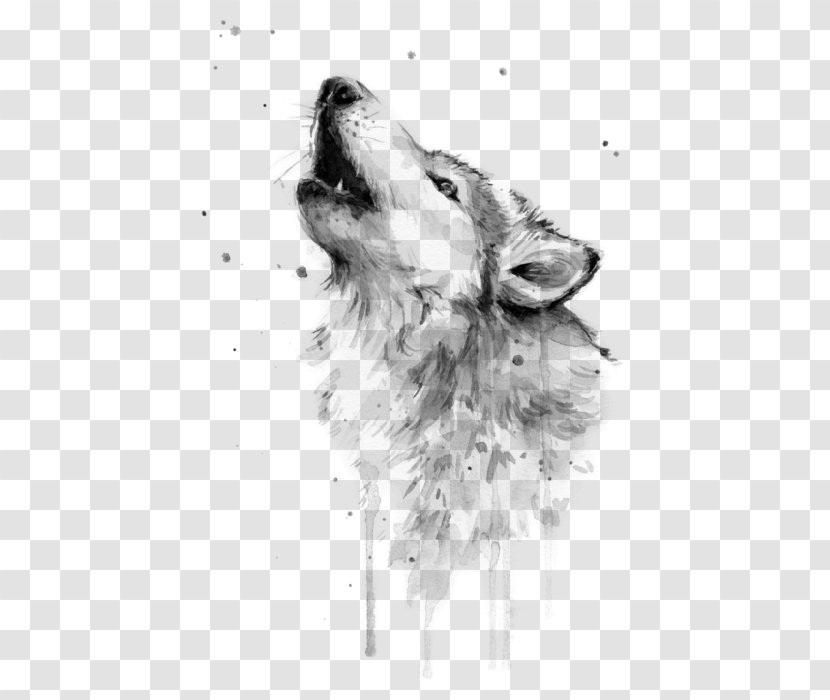 Watercolor Painting Gray Wolf Art Drawing - Dog Breed Group - Fox Transparent PNG