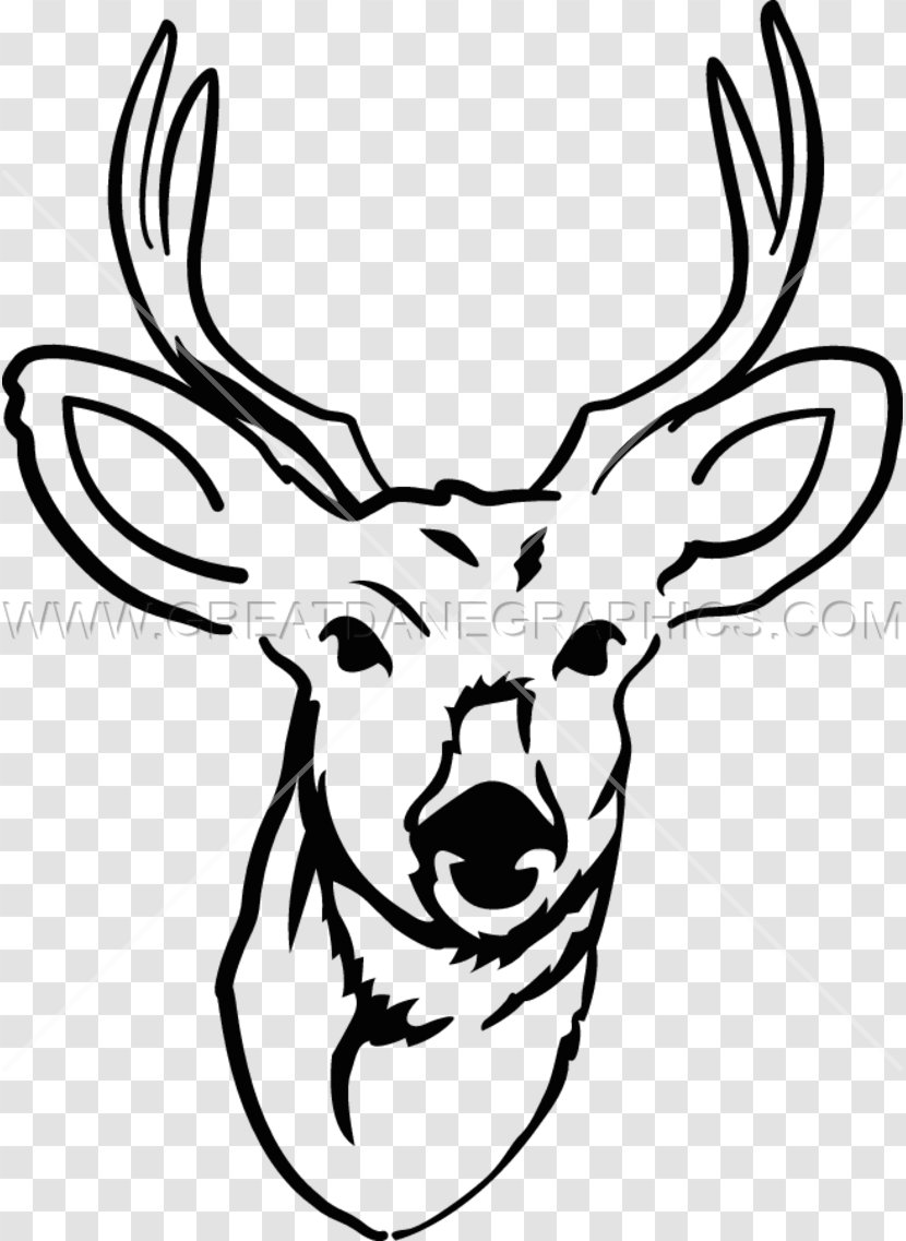 Deer Drawing Line Art Clip - Tail - Young Bucks Transparent PNG