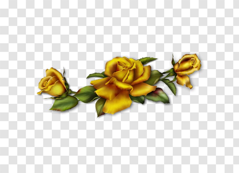 Golden Rose - Gift Transparent PNG