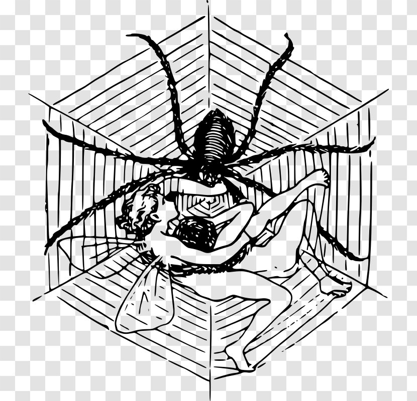 Spider Web Clip Art - Cartoon Transparent PNG