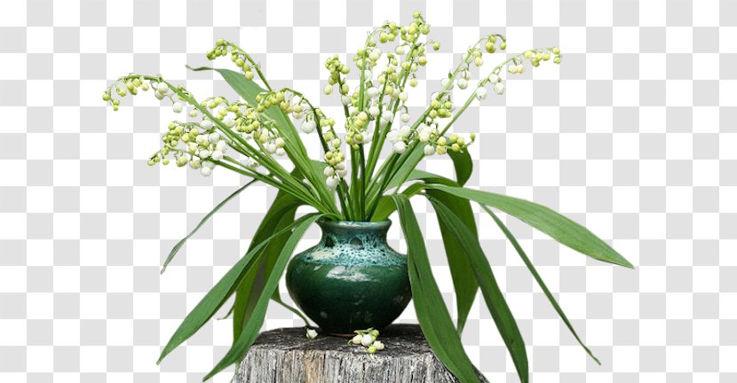 Lily Of The Valley 1 May Floral Design Transparent PNG