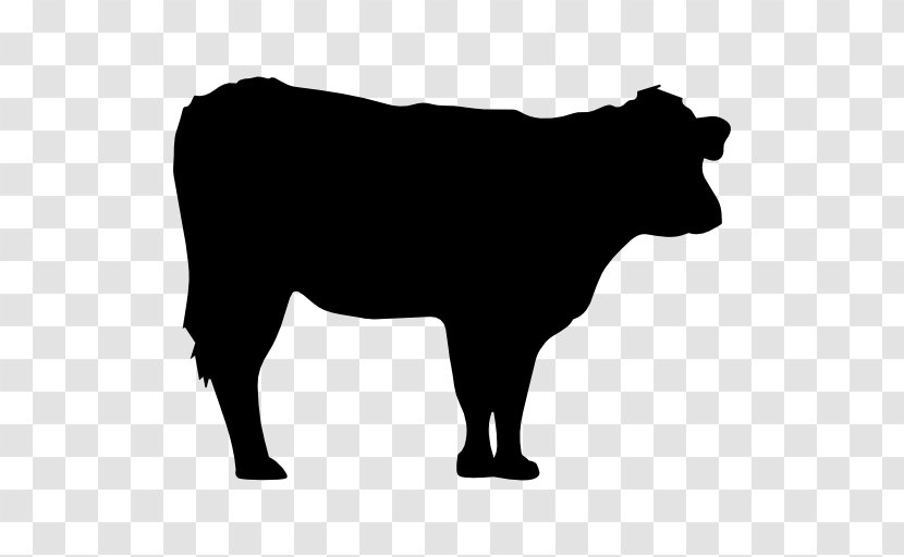 Hereford Cattle Santa Gertrudis Silhouette - Horn - Cows Vector Transparent PNG