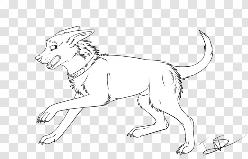 Lion Line Art Cat Drawing Wildlife - Artwork Transparent PNG
