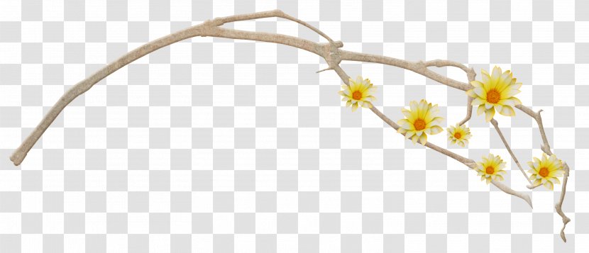 Cut Flowers Branch Twig Plant Stem - 35 Transparent PNG