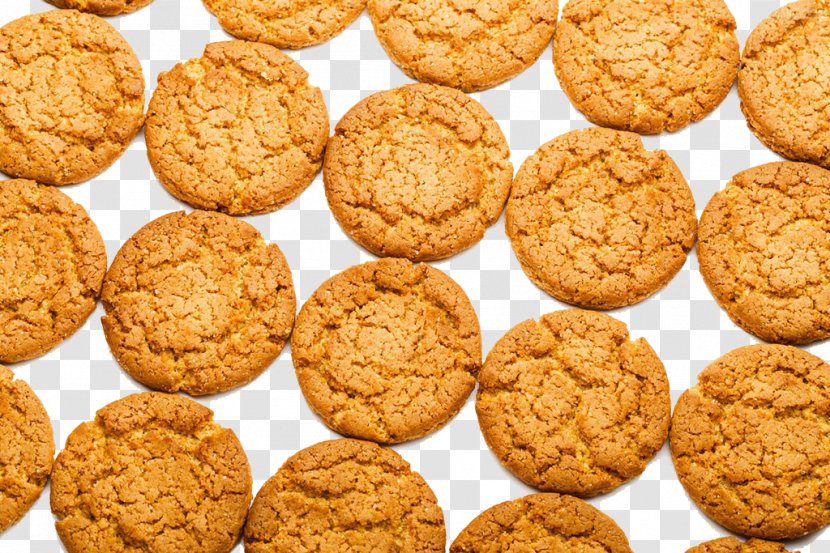 Peanut Butter Cookie Oatmeal Raisin Cookies Snickerdoodle Anzac Biscuit - Baked Goods - Walnut Transparent PNG