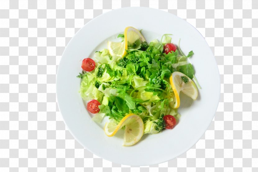 Paneer Tikka Salad Dressing Vegetable Eating - Meal Transparent PNG