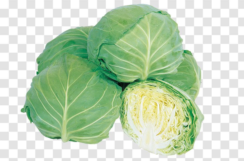 Cauliflower Collard Greens Spring Savoy Cabbage Cruciferous Vegetables Transparent PNG