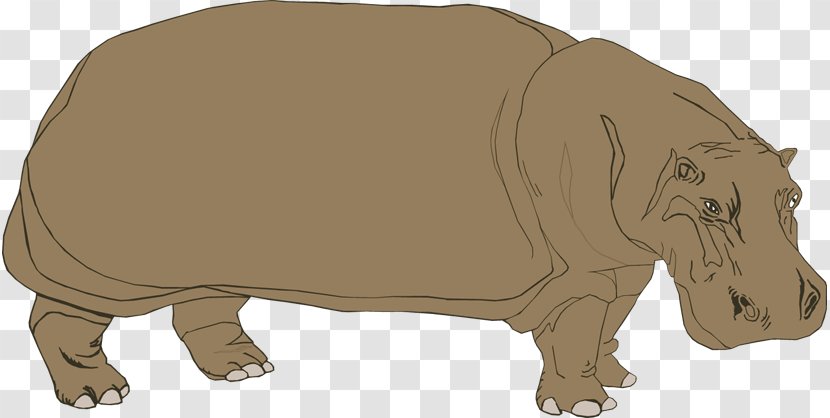 Hippopotamus Stock.xchng Clip Art - Wildlife - Images Transparent PNG