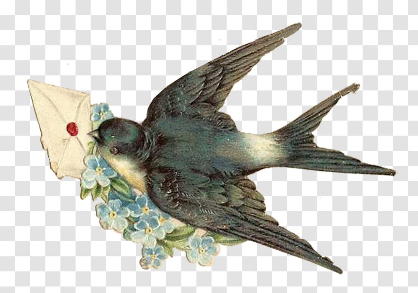 Swallow Psd Clip Art Image - Perching Bird Transparent PNG