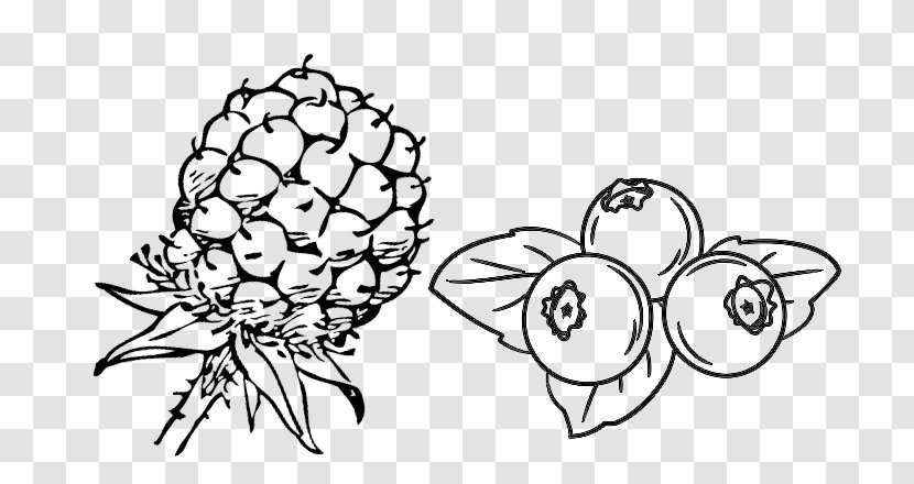 Blueberry Drawing Line Art Berries Food - Visual Arts Transparent PNG