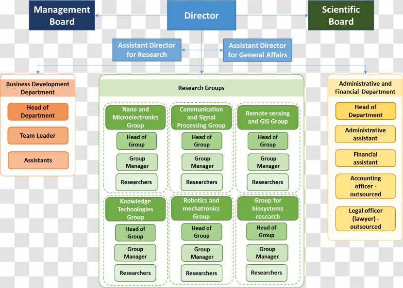 SKF Organizational Chart Management Board Of Directors - Bioarchaeology Transparent PNG