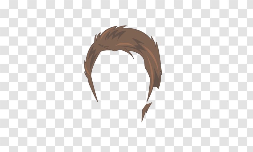 Product Design Beak Hair - Heart - Luca Modric Transparent PNG