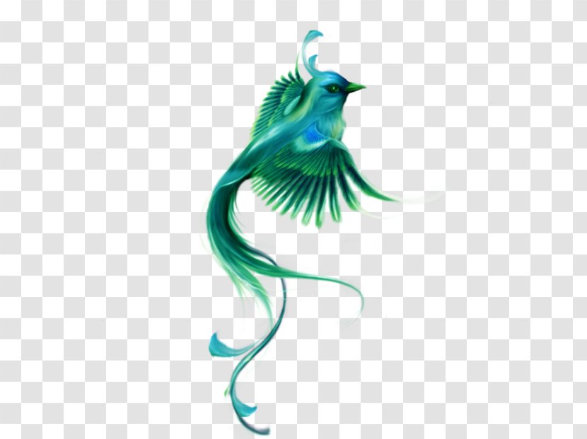 Bird Beak Feather - Dragon - Mockingjay Clipart Transparent PNG