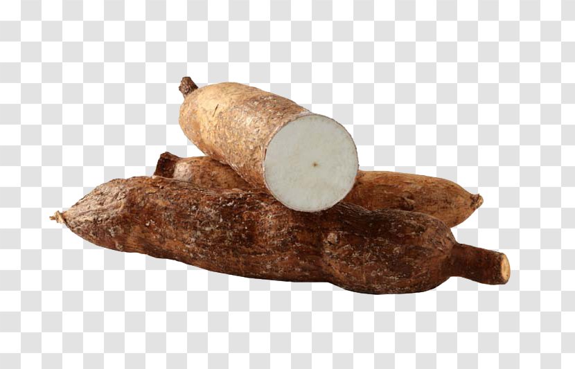 Cassava Yucca Root Vegetables Cooking - Tuber Transparent PNG