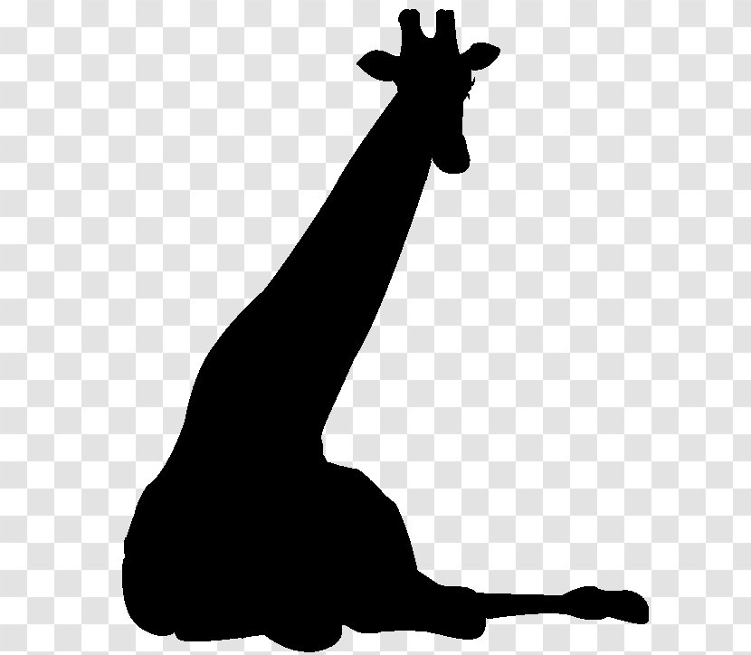 Giraffe Horse Mammal Clip Art Mane - Wildlife - Silhouette Transparent PNG