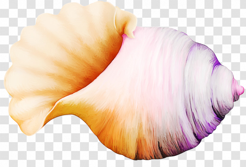 Pink Shankha Conch Transparent PNG