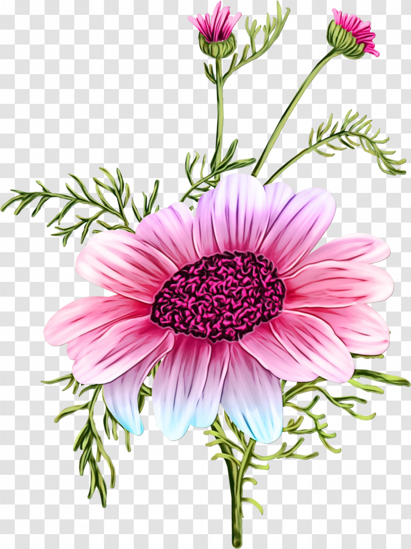 Floral Design Transparent PNG