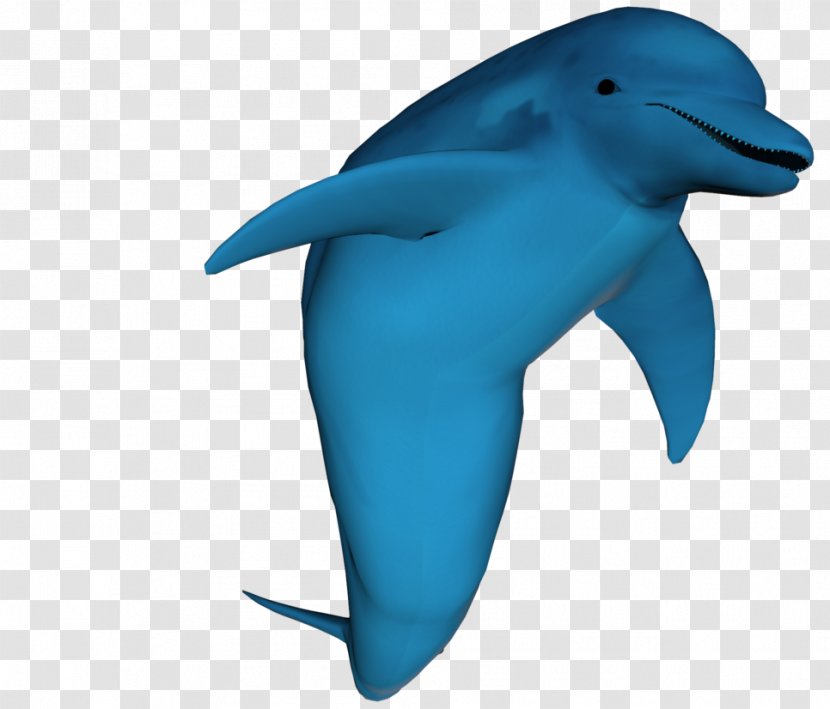 Common Bottlenose Dolphin Wholphin Tucuxi - Cartoon Transparent PNG