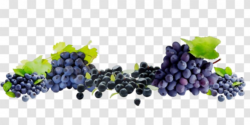 Sultana Grape Seedless Fruit Blueberry Bilberry - Superfood - Blackberry Transparent PNG