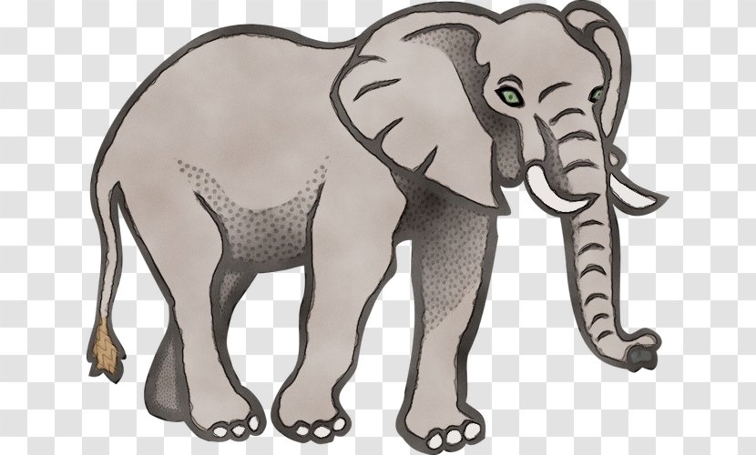 Indian Elephant - Wet Ink - Line Art Animal Figure Transparent PNG