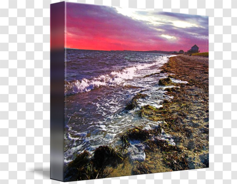 Water Resources Sea Sky Plc - Beach Sunset Transparent PNG