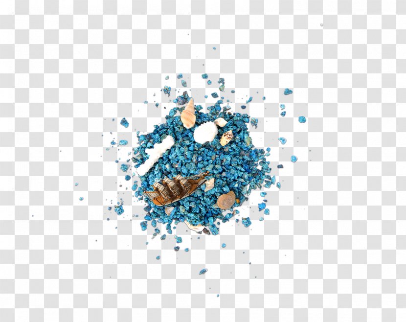 Download - Blue - Conch Shells And Sand Transparent PNG