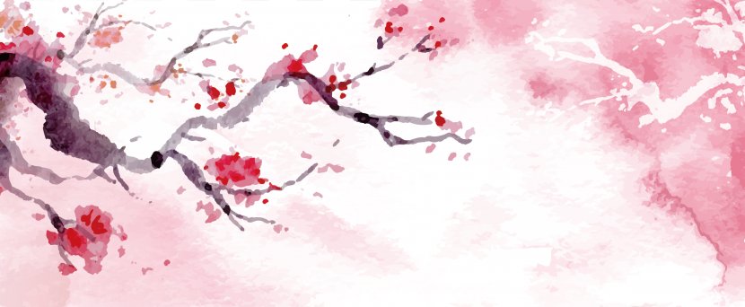Download Cherry Blossom Watercolor Painting - Paint - Blossoms Transparent PNG