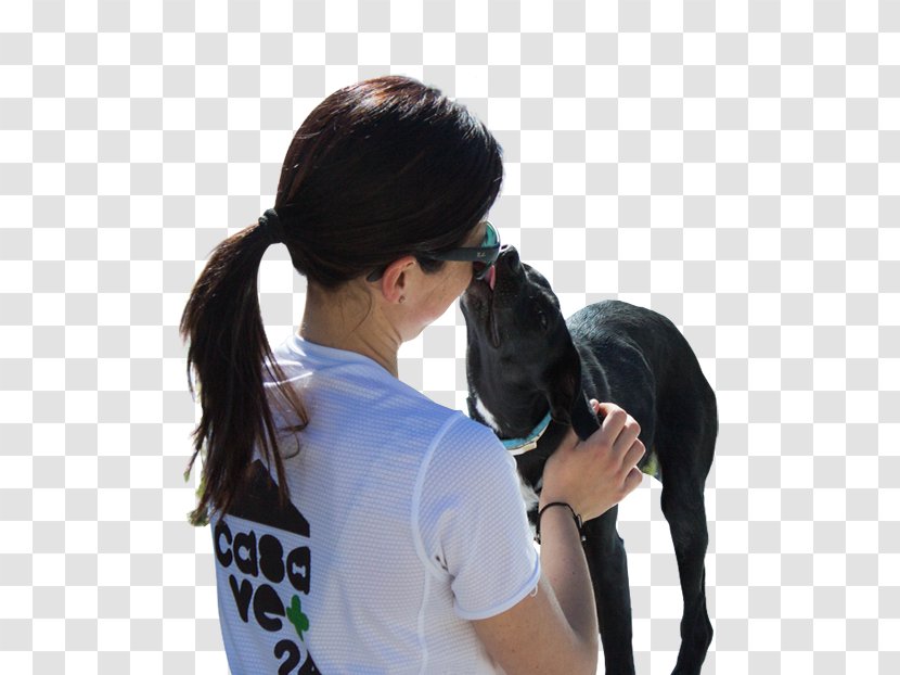 Dog Breed Medicine Electronics Puppy - Ear Transparent PNG