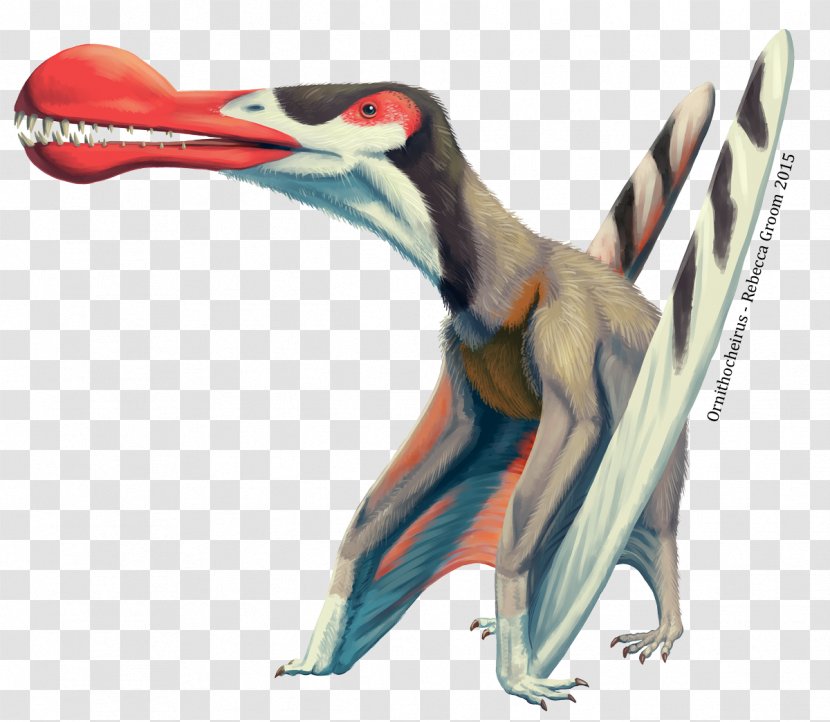 Ornithocheirus Pterosaurs Quetzalcoatlus Dinosaur Anhanguera Transparent PNG
